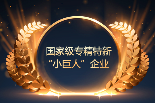 喜报 | 星空游戏通过国家级专精特新“小巨人”企业复审 